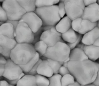 Scanning electron micrograph of a polycrystalline thin-film surface